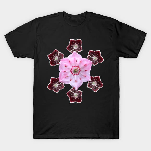 blooming flowers, roses, blossoms, blooms, floral T-Shirt by rh_naturestyles